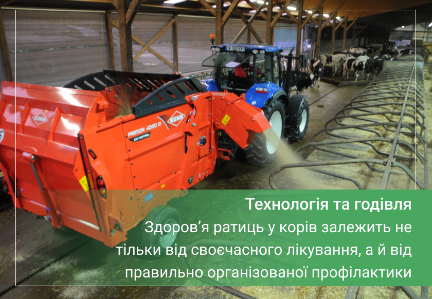 лікування корів від копитних хвороб