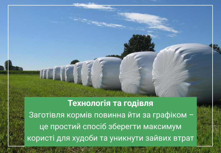 заготівля сіна