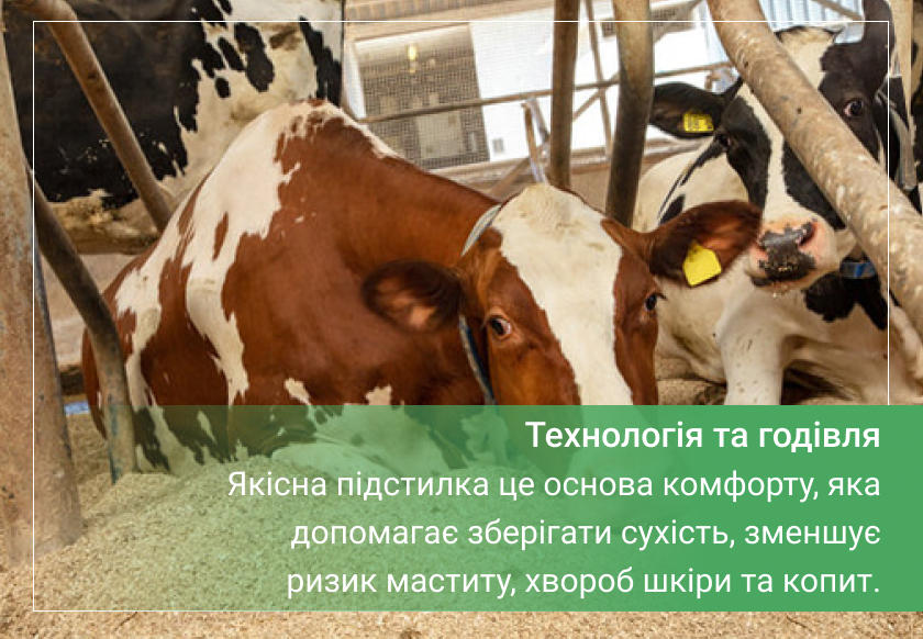 підстилка для корів