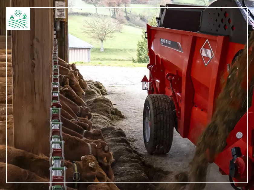 роздача кормів коровам