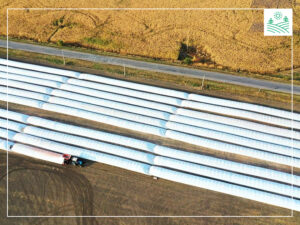 зберігання сінажу