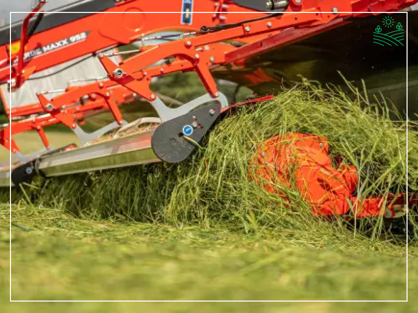 зберігання корму