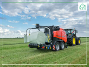 кормові добавки для дійних корів