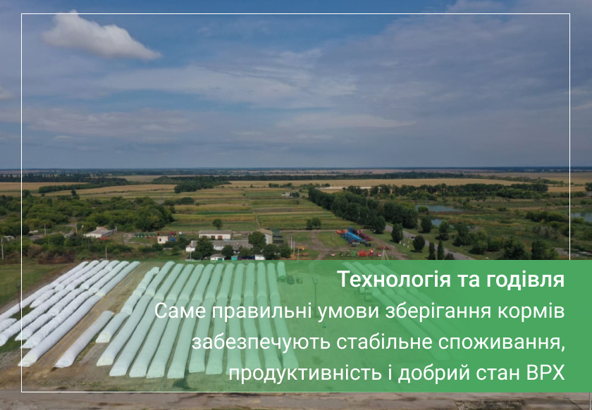 зберігання кормів для корів