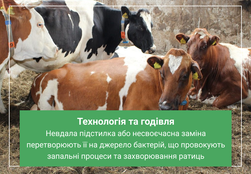 підстилка для тварин