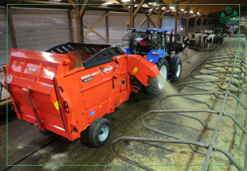 хвороби ратиць у корів