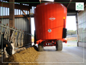 підготовка кормів до згодовування