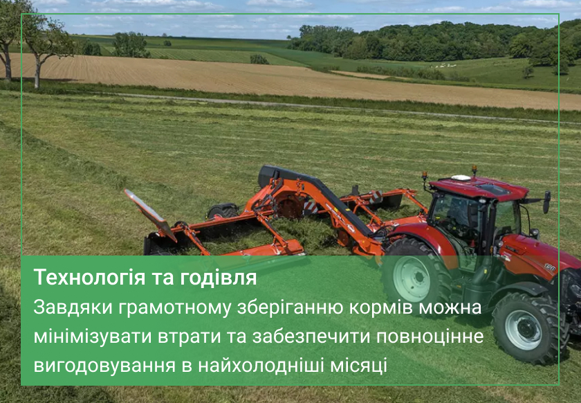 зберігання кормів